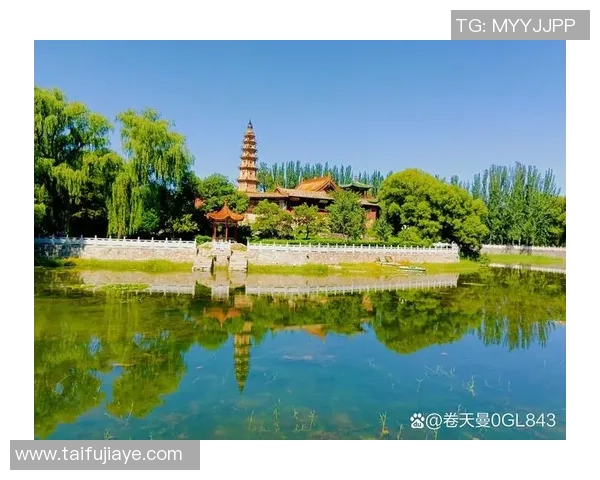 各国足球冷门明星盘点揭示隐藏的天才与传奇故事